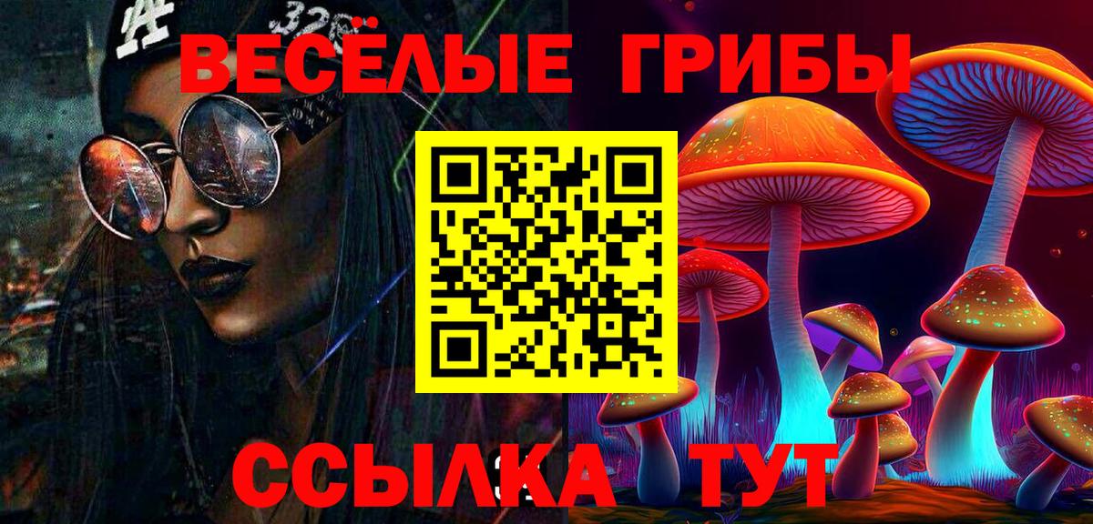Псилоцибиновые грибы мицелий Химки