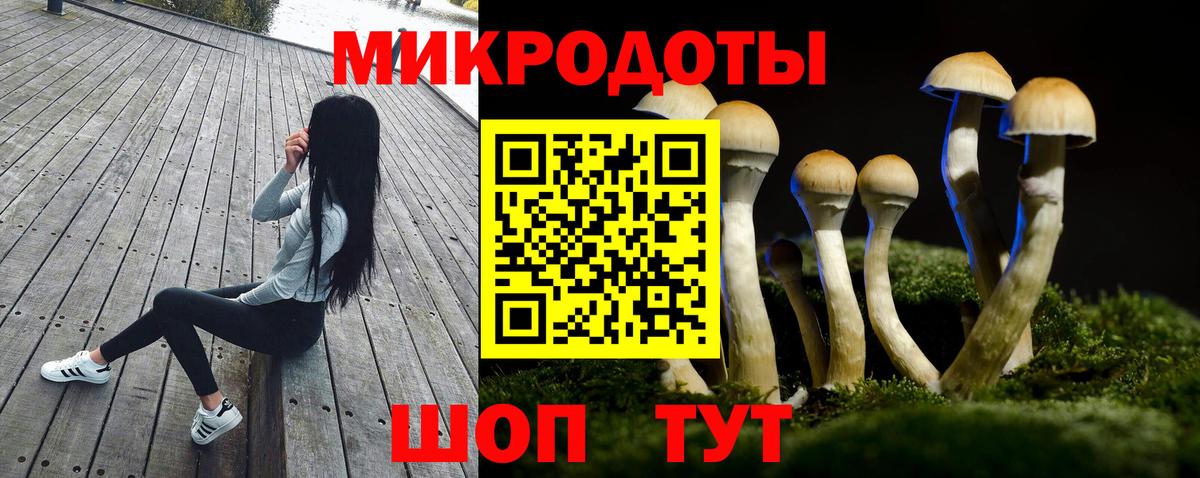 продажа наркотиков  Галлюциногенные грибы GOLDEN TEACHER  Вход с VPN  Химки 